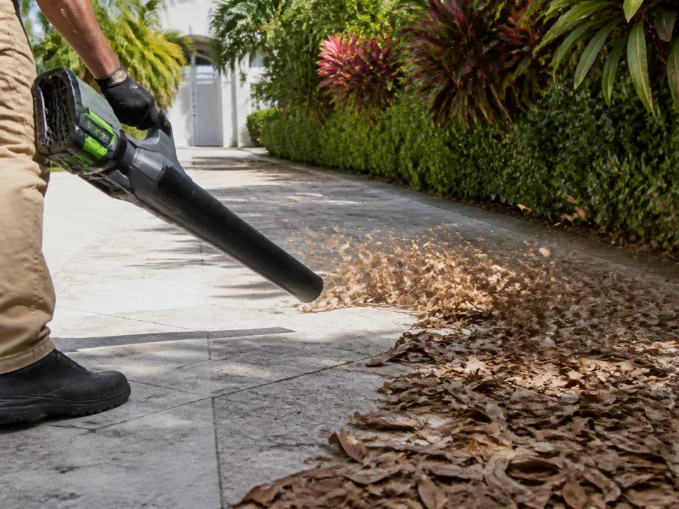 Leaf cleanup
