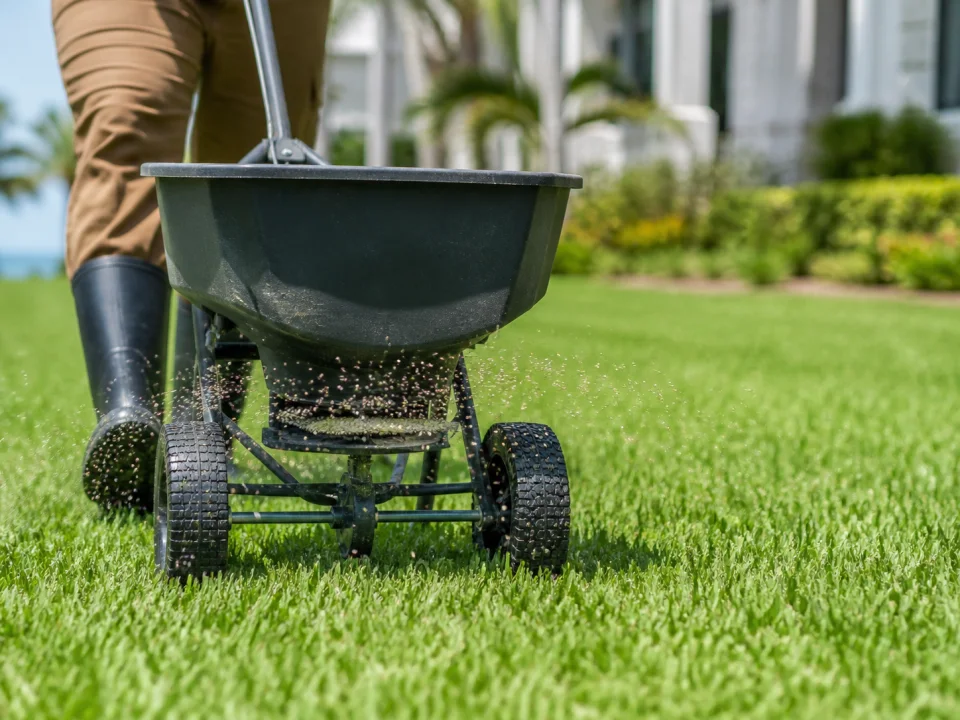 Fertilizing