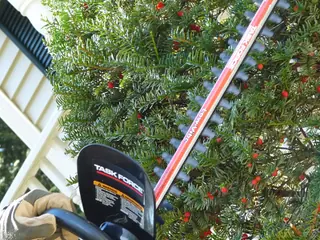 Hedge trimming