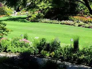 Lawn design