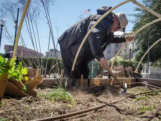 Mulching