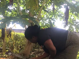 Weed control